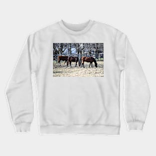 Grazing in the Sun Crewneck Sweatshirt